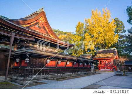京都 秋の北野天満宮 京都 秋の北野天満宮 37112817