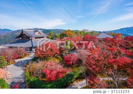 京都 将軍塚青龍殿の紅葉 の写真素材