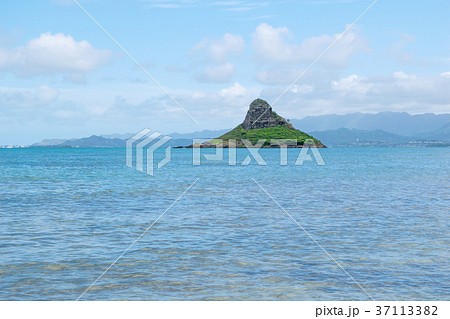 ハワイ　オアフ島　クアロアビーチパークから望むチャイナマンズハット島 37113382