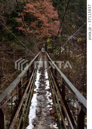 尾白川渓谷の吊り橋 尾白川渓谷の吊り橋 37113837