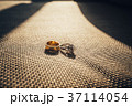 Wedding Ring 37114054