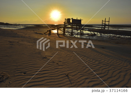 台湾 夕日 日没 37114166