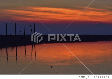 台湾 夕日 日没 37114174