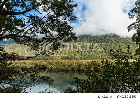 ニュージーランド　フィヨルドランド国立公園　ミラーレイク 37115299