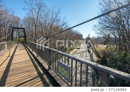 きすげ橋 37116064