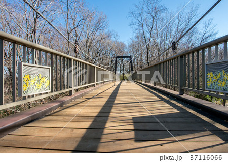 きすげ橋 きすげ橋 37116066