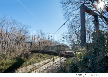 きすげ橋 37116068