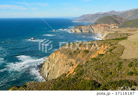 Pacific coast in Big Sur state parks in California 37116187
