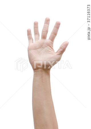 Man hand isolated on white background 37116373
