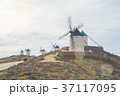Rows of old white traditional windmills on the  37117095