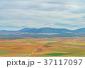 Abstract aerial panoramic top view of a country  37117097