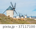Rows of old white traditional windmills on the  37117100