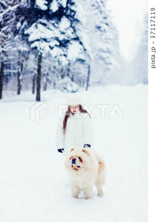 little girl walking with chow chow dog little girl walking with chow chow dog 37117119