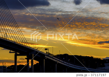 福岡都市高速荒津大橋 福岡都市高速荒津大橋 37117197