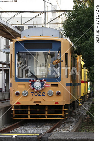 完全引退した都電7000形（黄色） 37117276