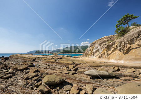 竜串海岸 竜串海岸 37117604