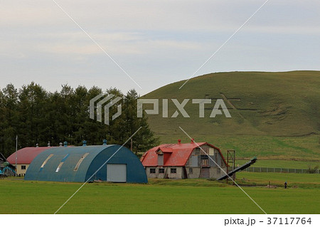 北海道　牛文字の山とレトロな牛舎 37117764
