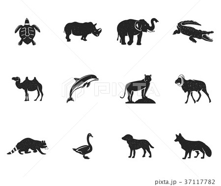 Wild animal figures and shapes collection isolated Wild animal figures and shapes collection isolated 37117782