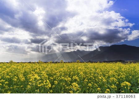 屋外 野外 アウトドア 37118063
