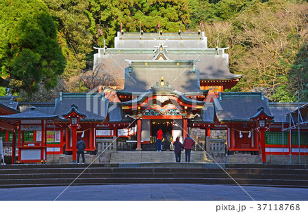 霧島神宮 37118768