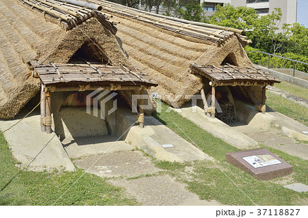 史跡新池ハニワ工場公園 埴輪窯 高槻市 大阪 史跡新池ハニワ工場公園 埴輪窯 高槻市 大阪 37118827