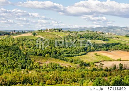 View from the wall - Monteriggioni 37118860
