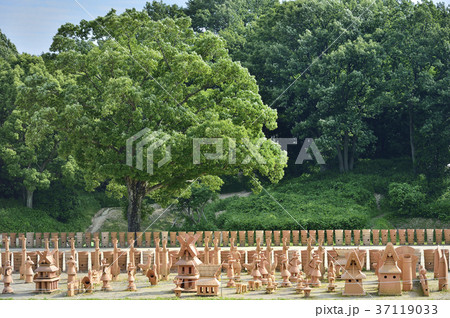 今城塚古墳 37119033