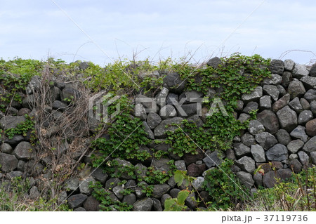 由利海岸波除石垣 由利海岸波除石垣 37119736