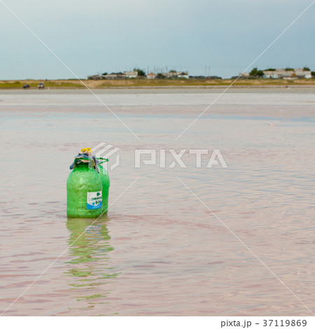 Salty pink lake 37119869