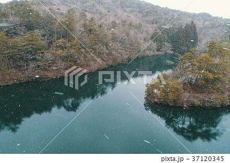雪　母子大池　もうしおおいけ　兵庫県三田市② 37120345