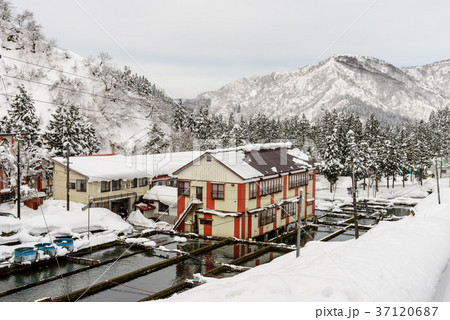 豪雪 豪雪 37120687