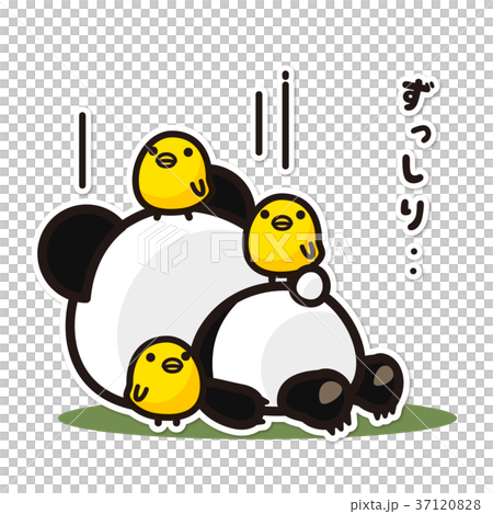 我的熊貓被重壓碎 37120828