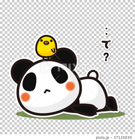 我的熊貓‥所以？ 37120830