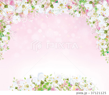 Vector  floral background. 37121125