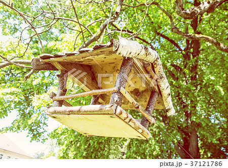 Bird house hanging on green tree, yellow filter 37121786