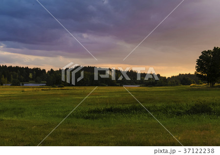 meadow west trees meadow west trees 37122238