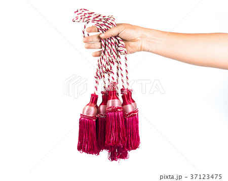 Hand hold Colorful Curtain rope on white Hand hold Colorful Curtain rope on white 37123475