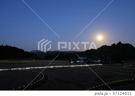 世界農業遺産の郷 田染荘 冬のライトアップイベント 「千年のきらめき」 世界農業遺産の郷 田染荘 冬のライトアップイベント 「千年のきらめき」 37124015