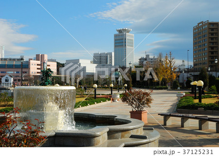 神奈川県横須賀市ヴェルニー公園の風景 神奈川県横須賀市ヴェルニー公園の風景 37125231