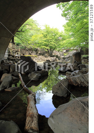 北区王子 音無川(おとなしがわ)親水公園 北区王子 音無川(おとなしがわ)親水公園 37125589