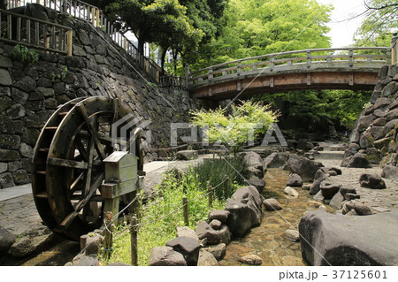 北区王子 音無川(おとなしがわ)親水公園 北区王子 音無川(おとなしがわ)親水公園 37125601