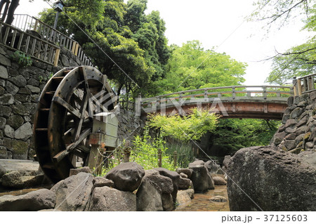 北区王子　音無川（おとなしがわ）親水公園 37125603