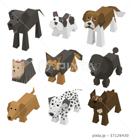 Vector different breed of isometric dogs 37126430
