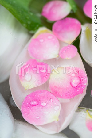 floral arrangement, decoration, spa concept. there 37126706