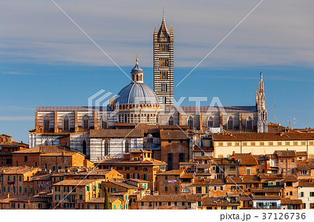 Siena. Cathedral on a sunny day. 37126736