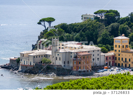 The bay of Sestri Levante The bay of Sestri Levante 37126833