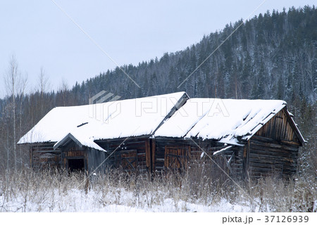 abandoned wooden hut in the winter landscape.. abandoned wooden hut in the winter landscape.. 37126939