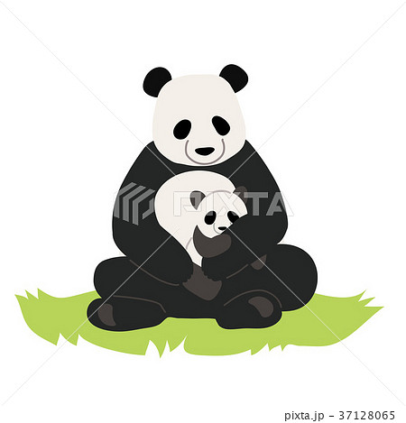 パンダの親子 イラストのイラスト素材
