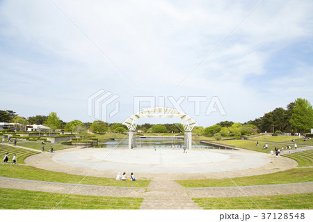 ひたち海浜公園　水のステージ 37128548