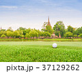 Golf ball  hole and  flagat golf course  37129262